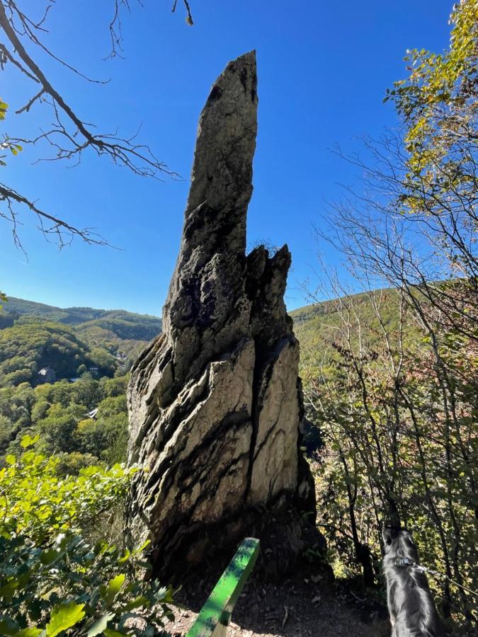 Laicas Lodge Dirbach 외부 사진